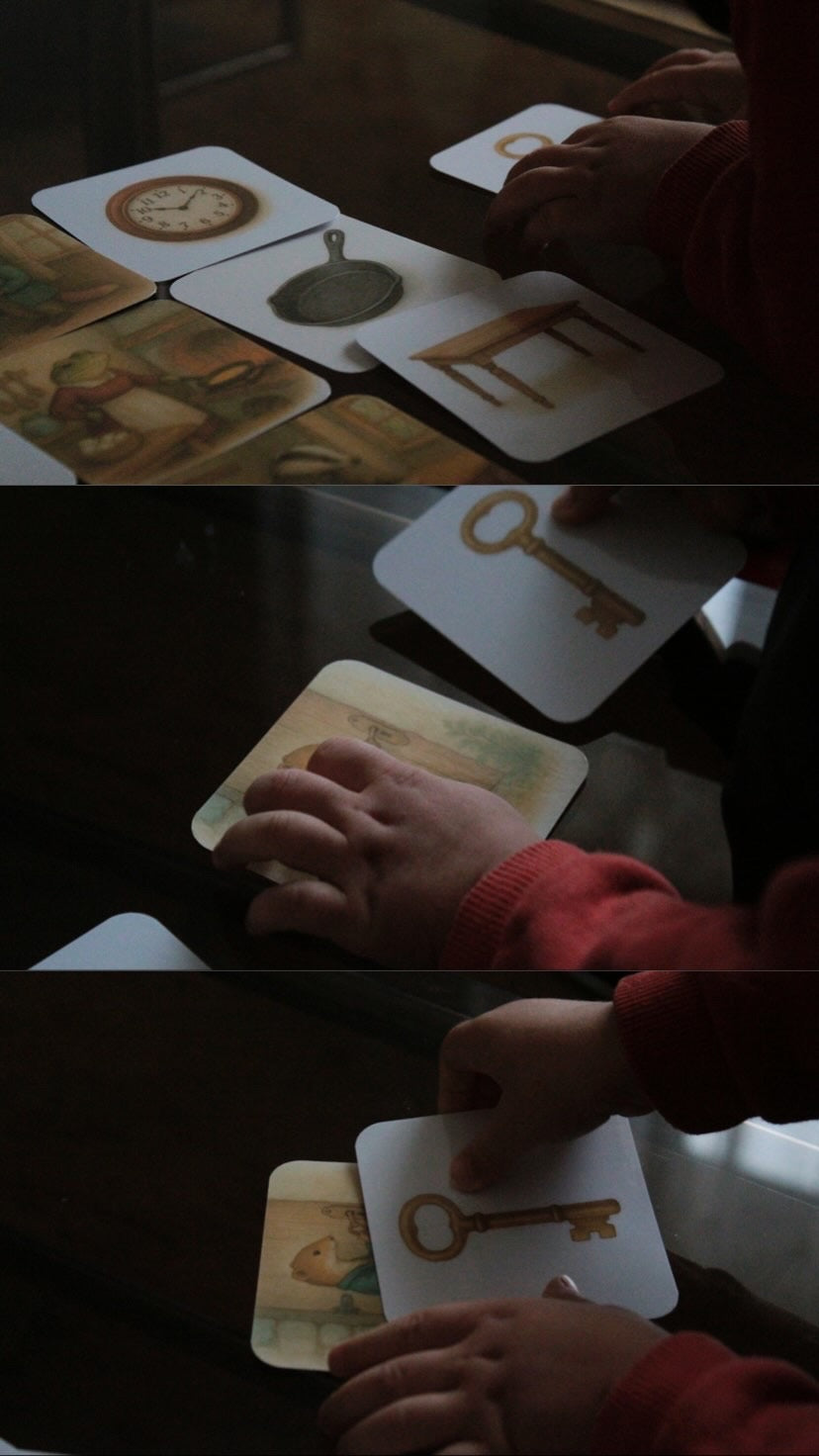 Pack de 20 cartes « jeu d’observation »