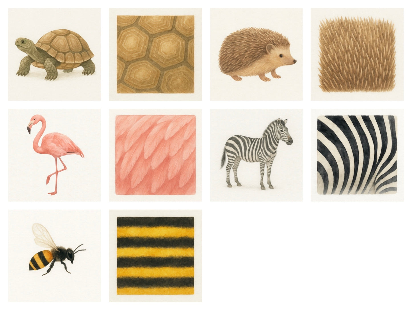 Pack de 20 cartes jeu d’observation et d’association animaux