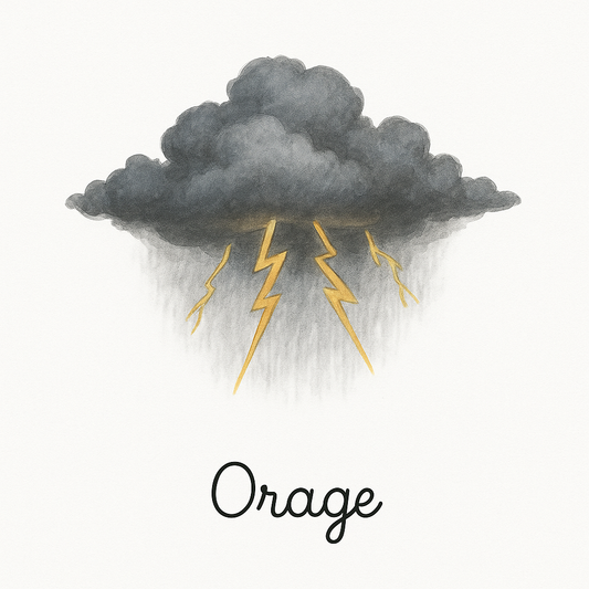 Pack de 11cartes « la météo »