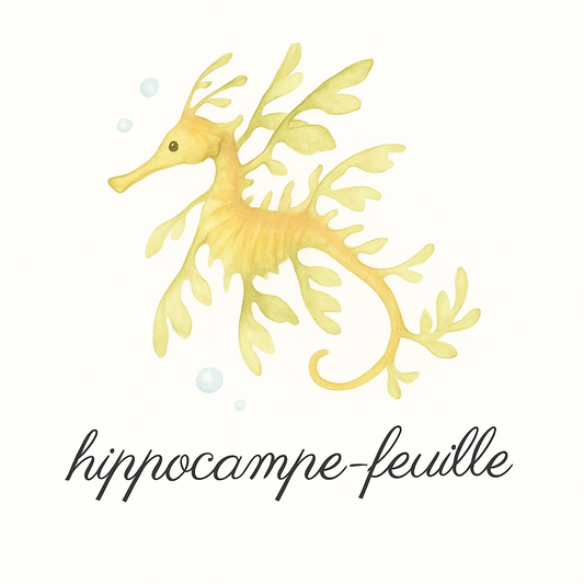 Pack 20 cartes « Les merveilles de l’océan »