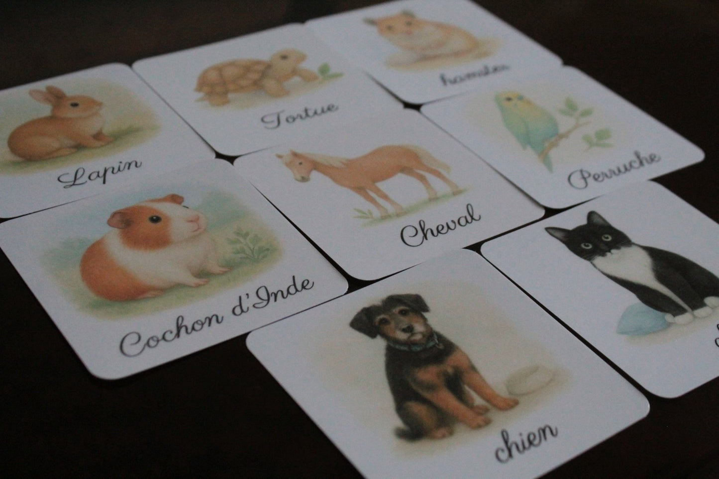 Pack de 8 cartes « les animaux domestiques »