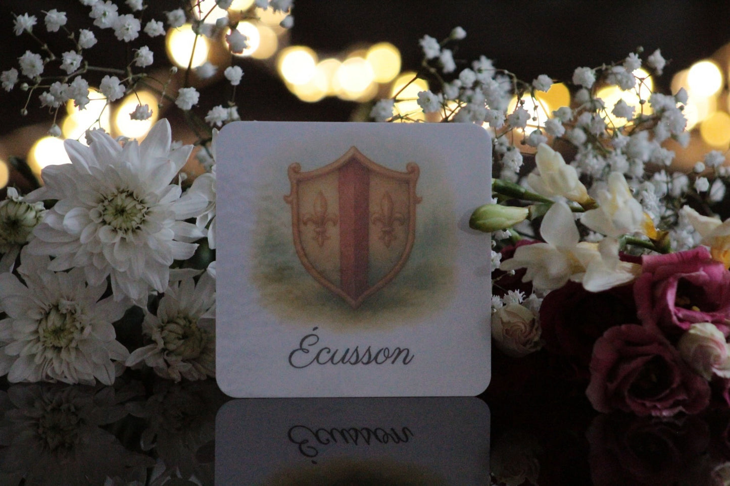 Pack de 12 cartes « les chevaliers »