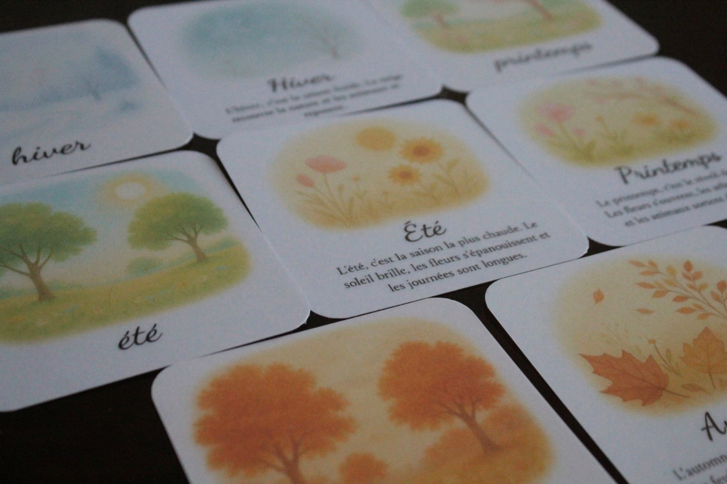 Pack de 8 cartes « les couleurs des saisons »