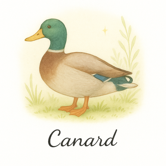 Pack de 12 cartes « animaux de la ferme »