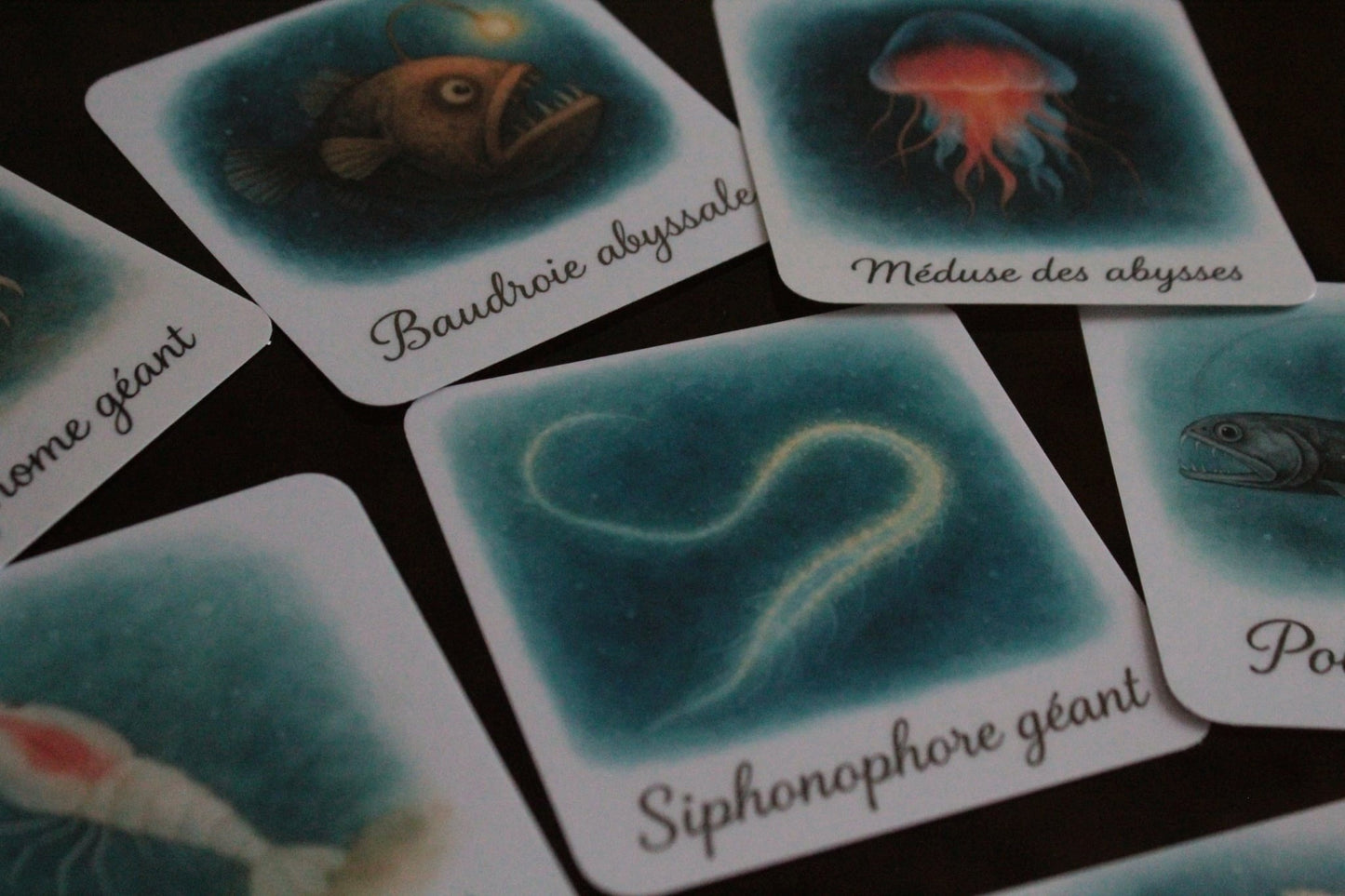 Pack 8 cartes « les créatures des abysses »