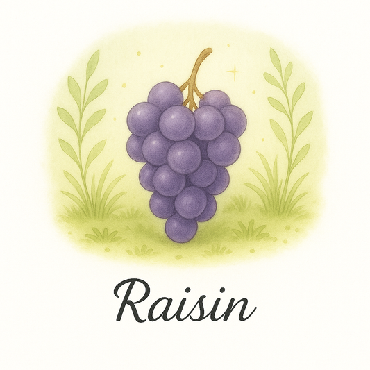 Pack de 12 cartes « les fruits »