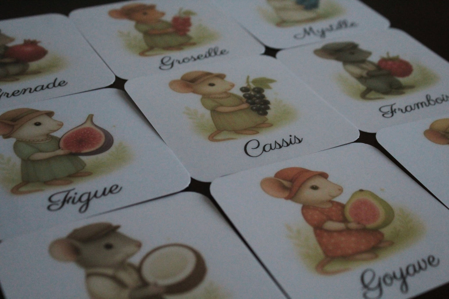 Pack de 10 cartes « les fruits »