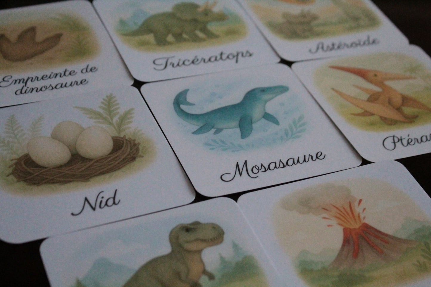 Pack de 8 cartes « les dinosaures et leur monde »