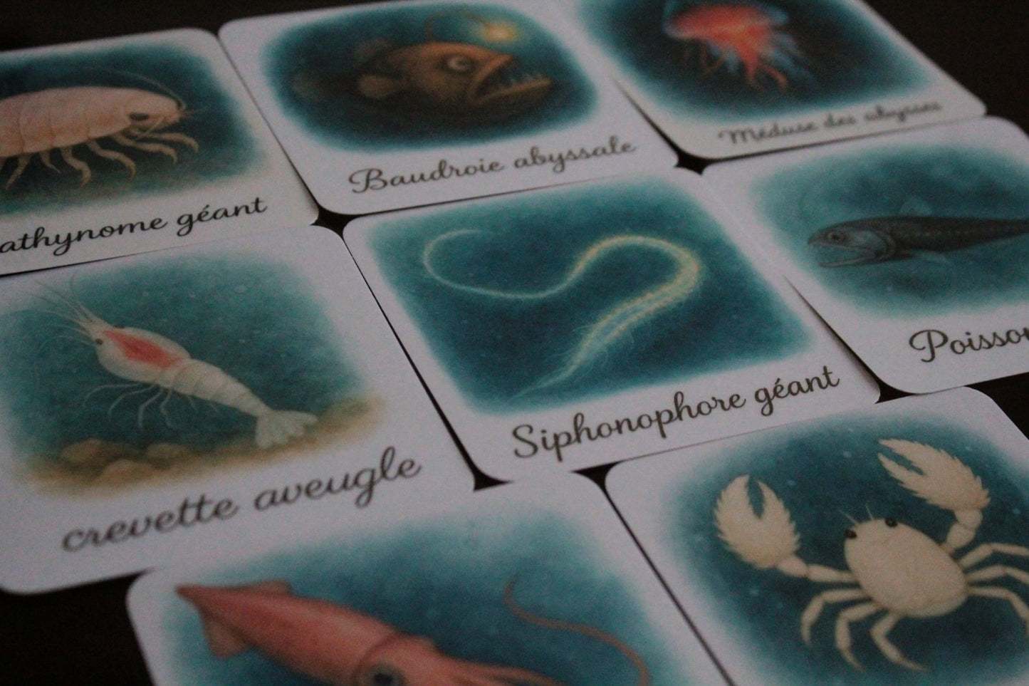 Pack 8 cartes « les créatures des abysses »