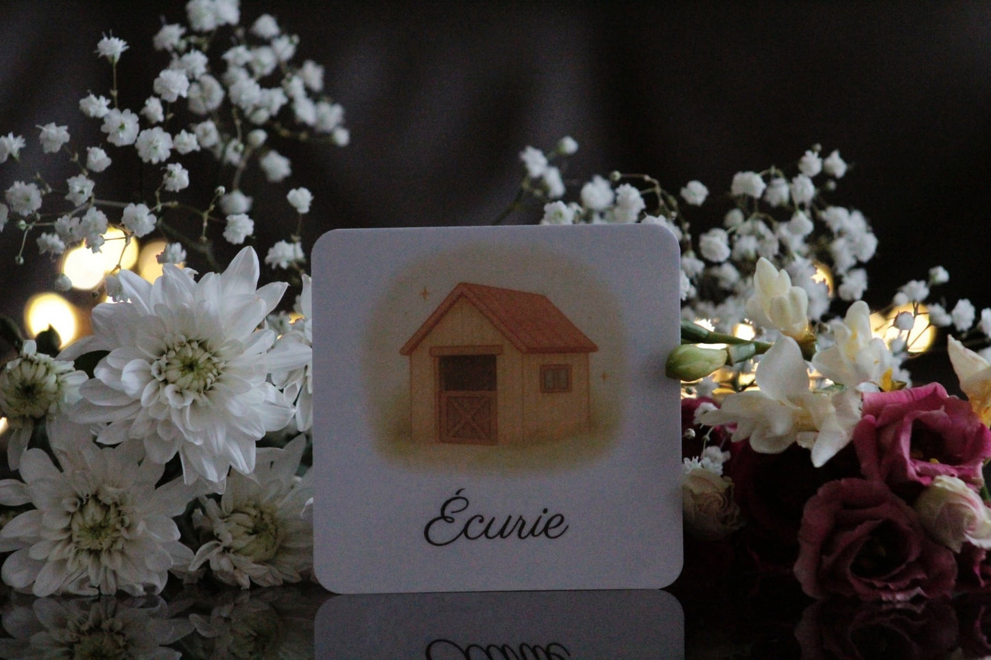 Pack de 12 cartes « l’equitation "