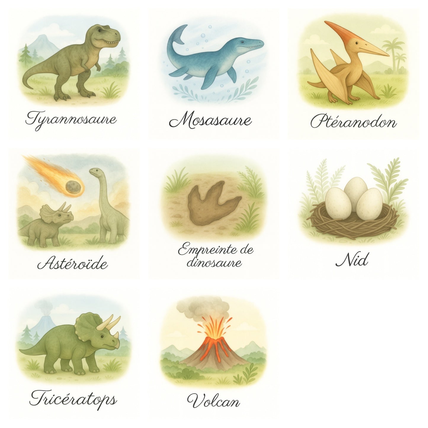 Pack de 8 cartes « les dinosaures et leur monde »