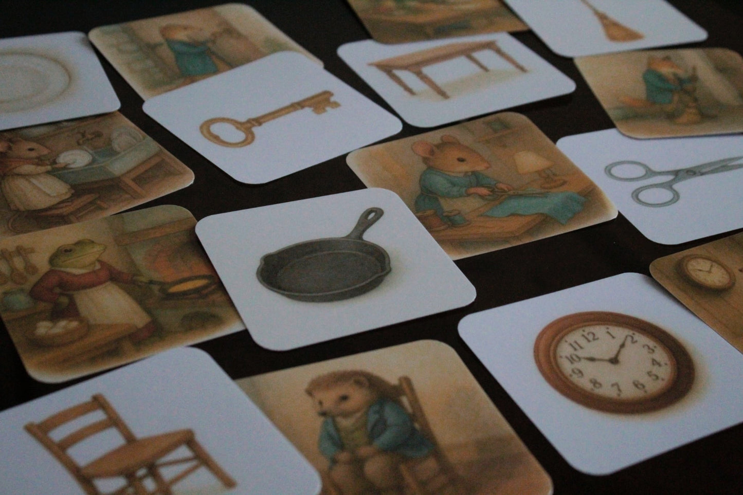 Pack de 20 cartes « jeu d’observation »