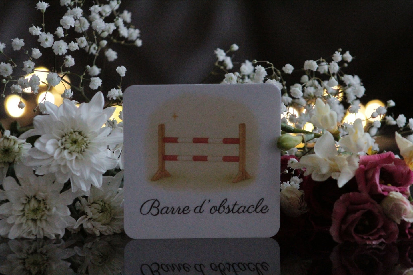 Pack de 12 cartes « l’equitation "