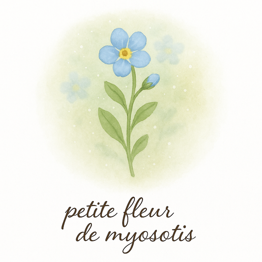 Pack de 8 cartes « trésors minuscules de la nature »