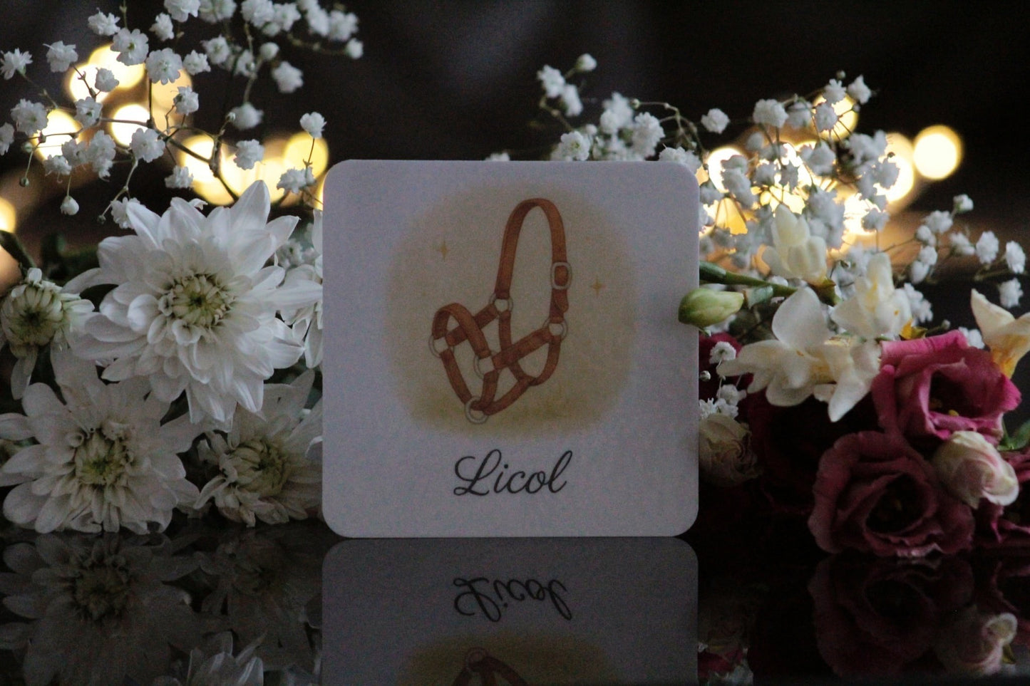 Pack de 12 cartes « l’equitation "