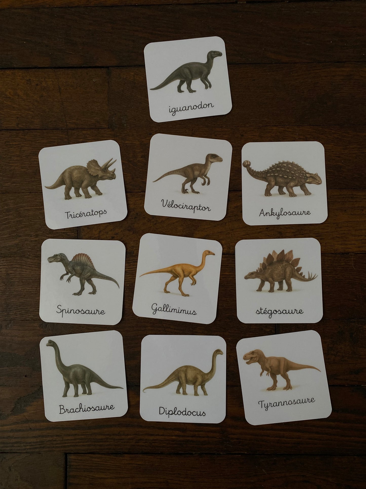 Pack de 10cartes « les dinosaures réalistes »