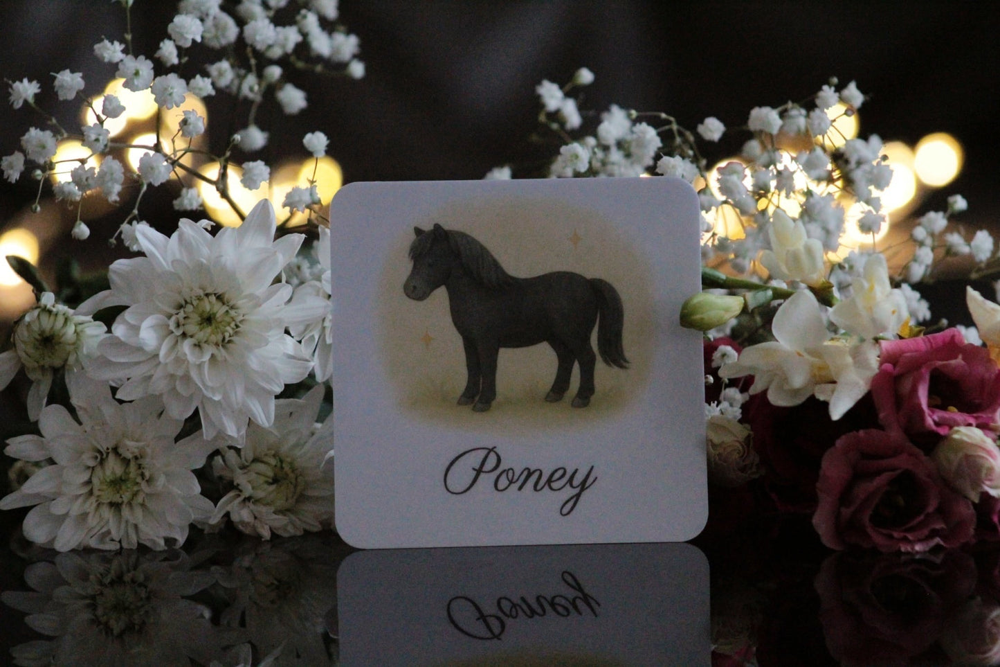 Pack de 12 cartes « l’equitation "